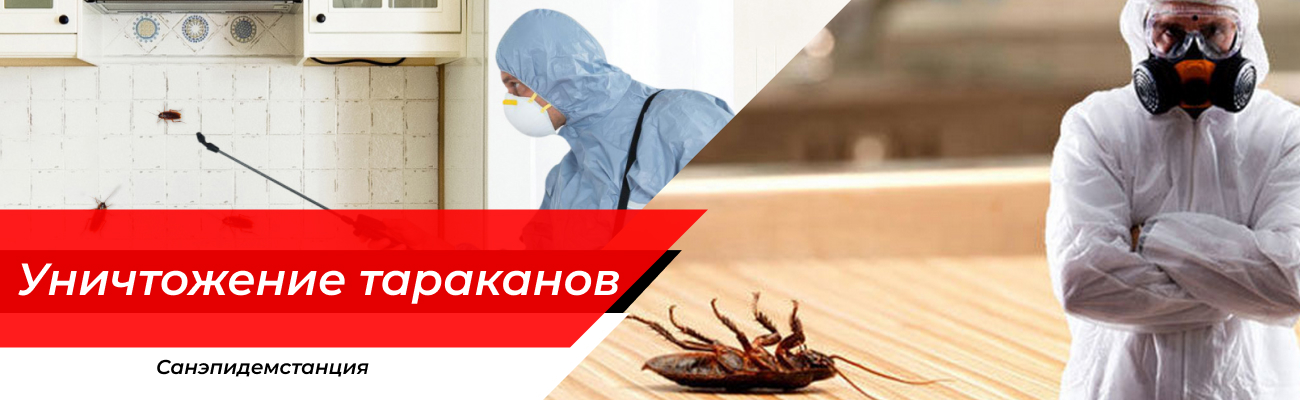 Уничтожение тараканов Хотьково